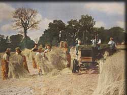 Farm Girls