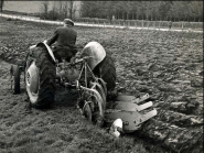Ploughing Fergie